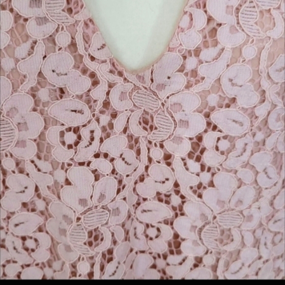 Zara Dusky Rose Floral Lace Shift Dress Cap Sleeves V-neck Loose Fit - Picture 8 of 9